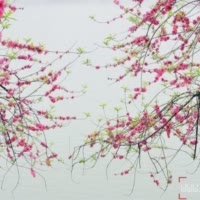 东风何时济清波