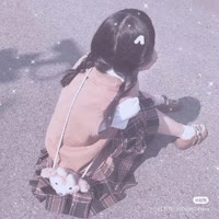 M。南风