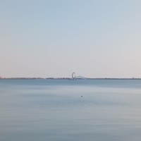 康康