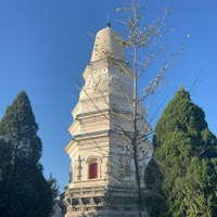 （Qm）布洛芬