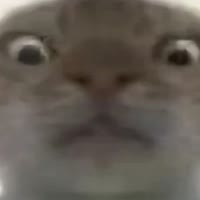 ohh.