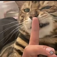 刻进（1000粉前全回）