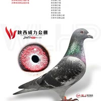 哈哈哈