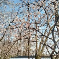 小困包🌸