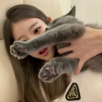 人。